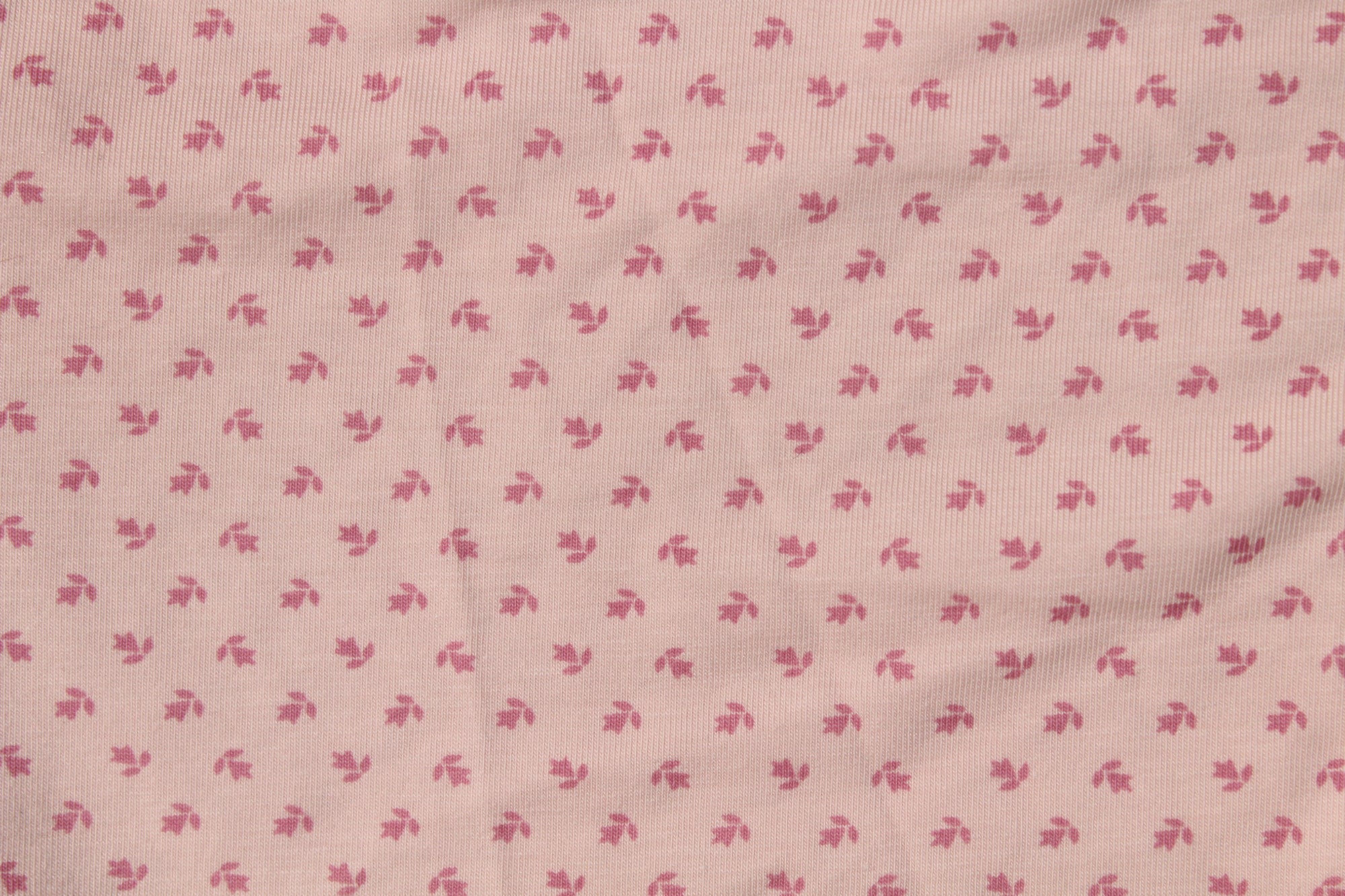 Short semi cachetero